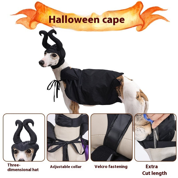 Halloween Dog Cloak With Hat Pet Clothing